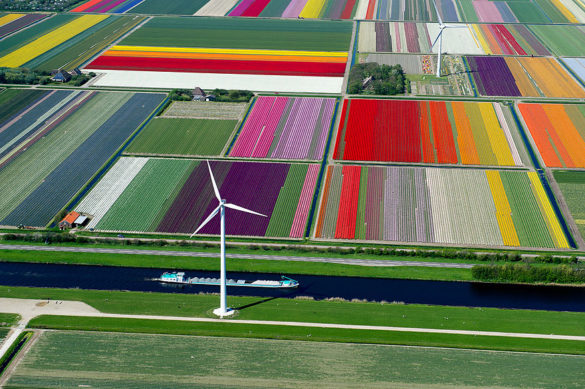 مکان‌های باورنکردنی - مزارع گل لاله، هلند